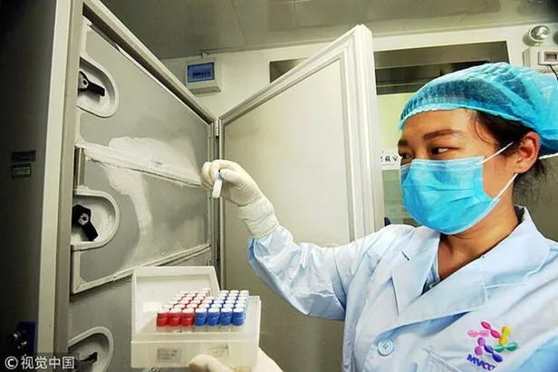 Dünyayı şoke eden görüntüler basına sızdı! Meğer Çin Wuhan'daki laboratuvarda koronavirüsün de olduğu 1500 virüsü saklıyormuş!-4