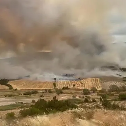 Bursa Yenişehir’de orman yangını!