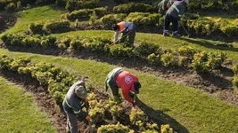 İBB'den aynı işe iki kere ödeme! 3,5 milyarlık kamu zararı!