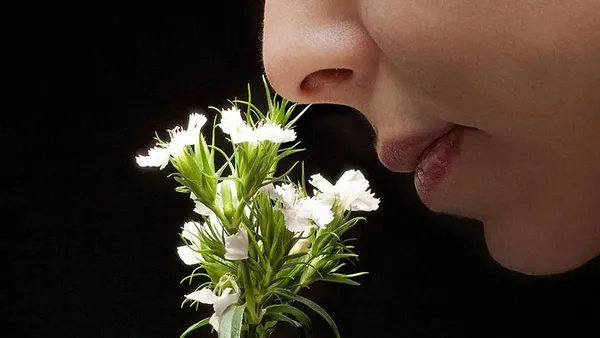 koronavirus-hastalarinda-tat-ve-koku-kaybi-gecmediyse-doktora-basvurulmali-1606464998018.jpg Koronavirüs hastalarında tat ve koku kaybı geçmediyse doktora başvurulmalı-6