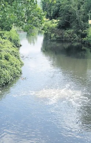 Riva Deresi'ndeki kirlilik suyun rengini değiştirdi! Tarım ve hayvancılık yapan vatandaşlar isyan etti