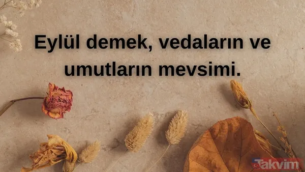 🍁Eylül Demek, Vedaların Ve Umutların Mevsimi.