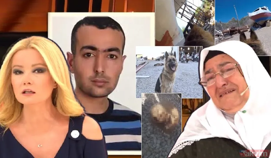 Müge Anlı�da son dakika Mehmet Ali Koran gelişmesi! DNA sonuçları çıktı