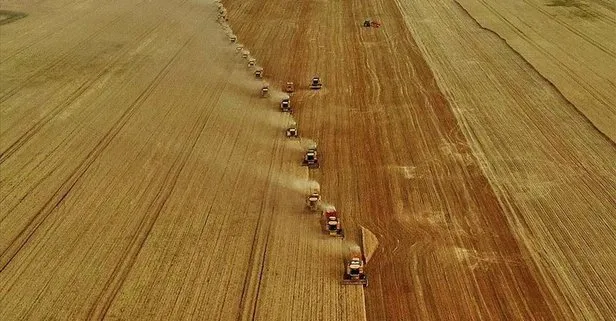 Türkiye’de tarım haritası değişiyor! Adana’da avokado, Antalya’da pepino...