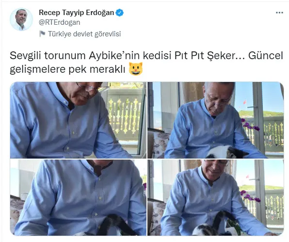 baskan-recep-tayyip-erdogan-torunu-aybikenin-kedisi-pit-pit-seker-ile-takvim-gazetesini-okudugu-anlari-paylasti-1632663451382.jpg