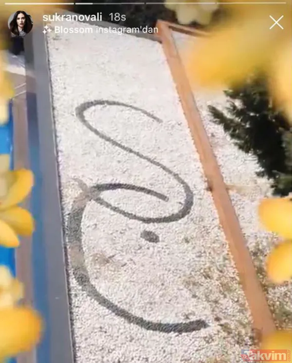 Serenay Sarıkaya ve Cem Yılmaz'ın görüntüleri internete düştü! 'Serenay hamile mi yoksa kilo mu almış?' - 35