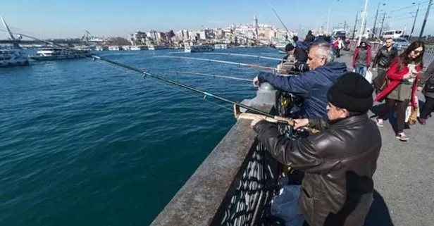 Bakanlık açıkladı: Hamsi avı yasağı 28 Ocak’a uzatıldı