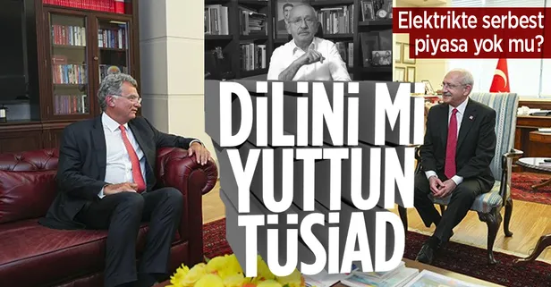 Söz konusu hükümet olunca "serbest piyasa kuralları" diye ahkam kesen TÜSİAD, Kılıçdaroğlu'na karşı neden sessiz?