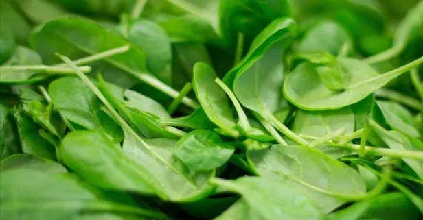 İstanbul İl Sağlık Müdürlüğü'nden ıspanak zehirlenmelerine ilişkin açıklama