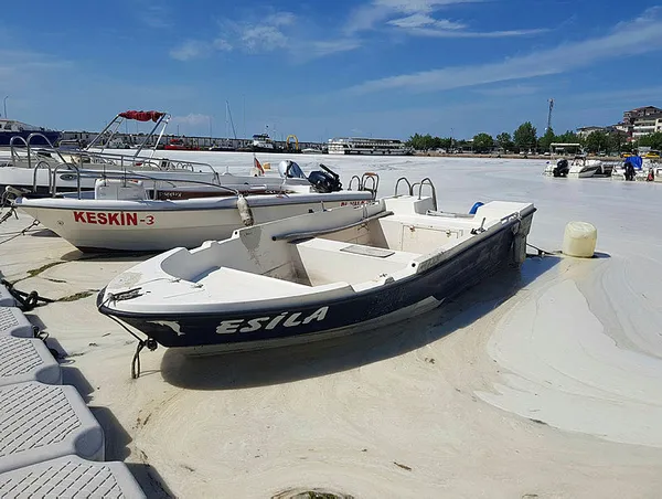 1622094670476.jpg Marmara Denizi ölüyor! Felakete dikkat çektiler! Deniz salyası...-4