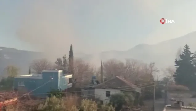 Osmaniye’nin Düziçi ilçesinde ormanlık alanda yangın çıktı