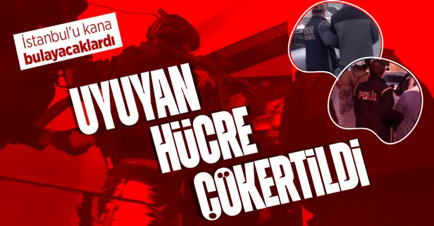 Terör örgütünün 'uyuyan hücresi' çökertildi: DEAŞ'ın sözde istihbaratçıları yakalandı