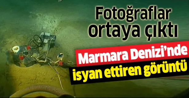 Marmara Denizi’nde isyan ettiren görüntü: İşte trol ile avlanan balıkçıların kopardığı optik kablolar
