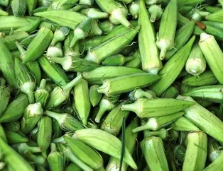 Bamya ülseri önler!