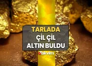 Tarlada çil çil altın buldu: 7den 70e herkesi şaşkına çeviren keşif ortaya çıktı