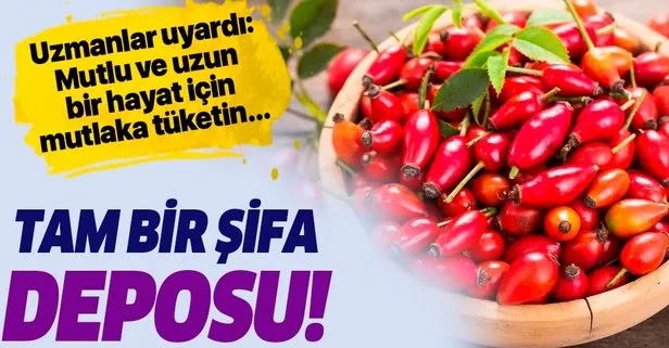 Kuşburnuyla çok yaşayın
