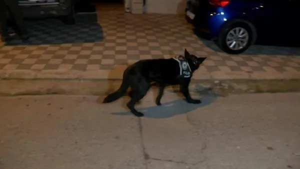 İstanbul'da uyuşturucu satıcılarına helikopter destekli operasyon-4