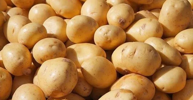 Patates-soğan 1 TL’ye inecek