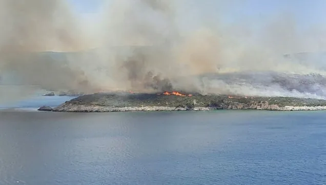 Son dakika: İzmir Urla'da yangın!
