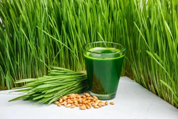 yaprak-dokumunun-ali-riza-beyiydi-77-yasindaki-halil-ergunun-20-gunde-11-kilo-verdiren-diyeti-yillar-once-cime-1703092238438.jpeg 77'lik Halil Ergün'ün 20 günde 11 kilo verdiren diyeti! Yaprak Dökümü'nün Ali Rıza Bey'iydi! Yıllar önce çimen suyu içerek...-7