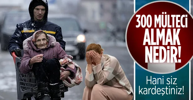 İngiltere Ukrayna'dan 300 mülteci alacak