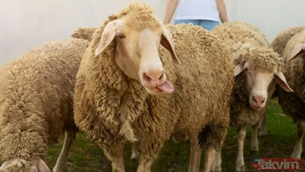 Fotoğraflar: Takvim Arşiv