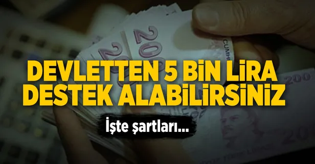 Devletten herkese destek