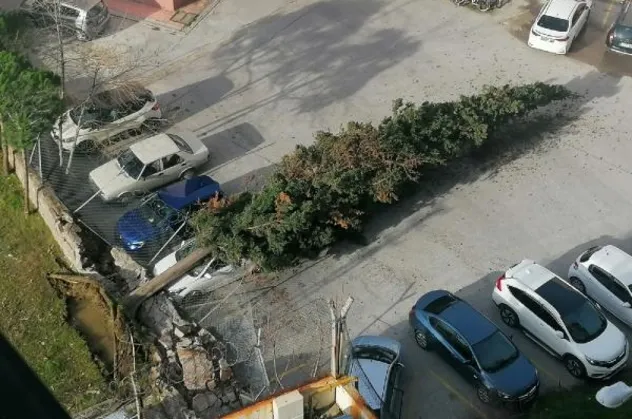 Son dakika: Çanakkale’de şiddetli lodos fırtınası! Ağaçlar devrildi elektrik telleri koptu