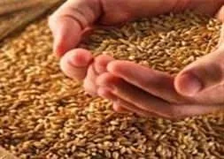 Gıda fiyatları düşüyor