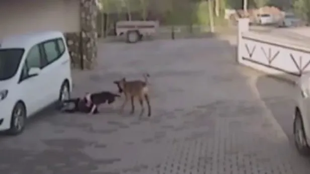 servis bekleyen cocuk ve annesine