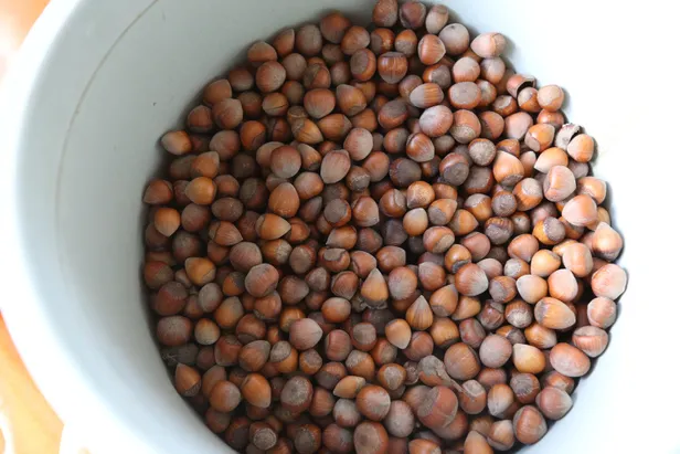 findik-fiyatlari-ne-kadar-giresun-sakarya-ordu-duzce-samsun-il-il-findik-fiyatlari-guncel-liste-1631530966624.jpg Fındık fiyatları ne kadar? Giresun, Sakarya, Ordu, Düzce, Samsun il il fındık fiyatları güncel liste-2