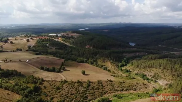 İSKİ'nin son skandalı! Kanalizasyon suları Ömerli Barajı'na akıyor - 18