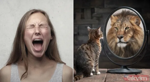 Astrolojide Bazı Burçlar Aşırıya Kaçan Tavırları İle Dikkat Çekerler. Özellikle 3 Burç Var Ki Kibirli Halleri Metrelerce Öteden Fark Edilebilir. Peki, Hangi...