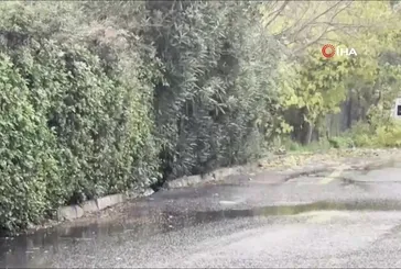 İstanbul’da kar yağışı başladı