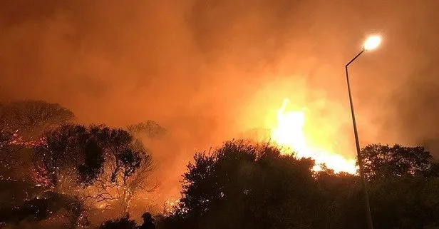 Son dakika: Antalya’da otluk alanda çıkan yangın söndürüldü