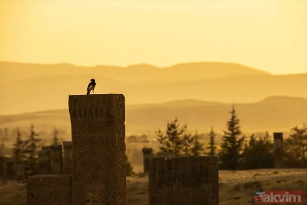 Anadolu ile Orta Asya'nın köprüsü! Bitlis'te 9 asra dayanan Selçuklu Meydan Mezarlığı - 12