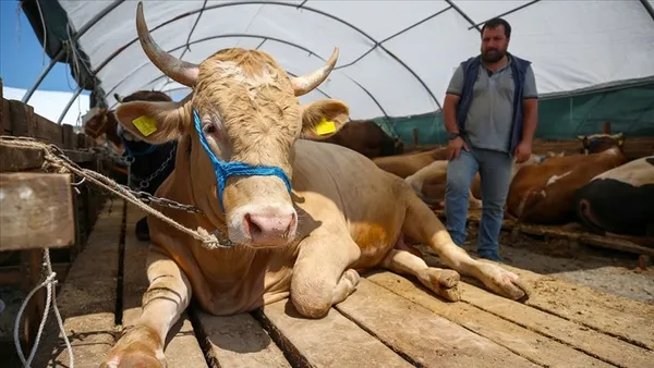 Satılamayan kurbanlıklar ne olacak? Tarım ve Orman Bakanı Bekir Pakdemirli açıkladı!-4