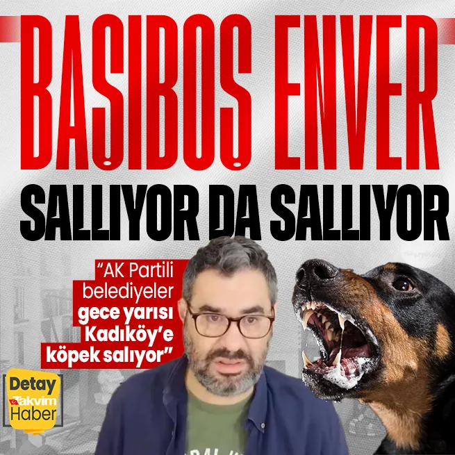 Enver Ayseverden akıllara zarar sokak köpeği çıkışı! AK Partili belediyeleri hedef aldı