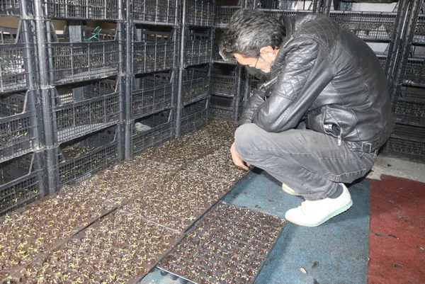 evini-sera-yapip-kiraya-cikti-sebze-fidesi-yetistiriciliginden-300-bin-lira-gelir-bekliyor-1617096917565.jpg