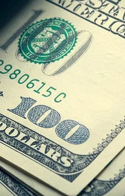 Hükümetten kritik dolar açıklaması