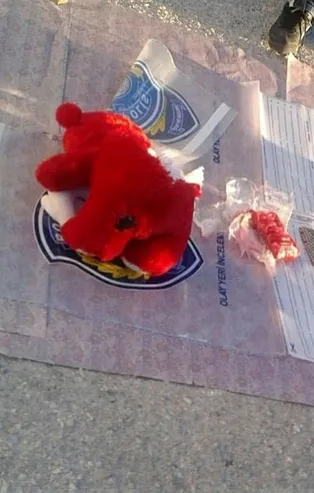Konya'da oyuncak ayıdan patlayıcı çıktı