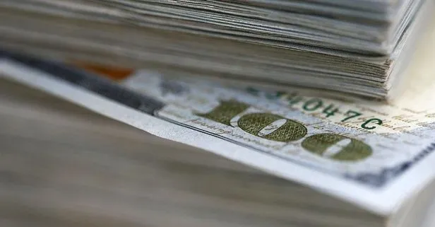 70 milyon dolarlık ithalatı önleyecek