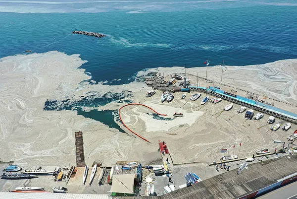 Marmara istila altında! Deniz salyasının (müsilaj) ilk raporu ortaya çıktı! Korkunç sonuç!-3