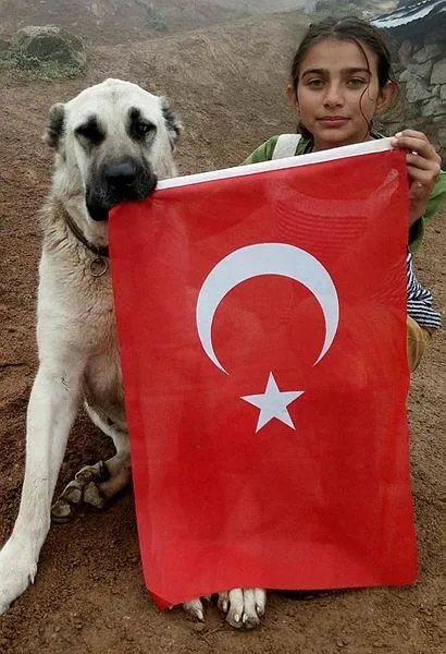 Cumhurbaşkanı Erdoğan'dan Hamdu Sena’ya davet-1