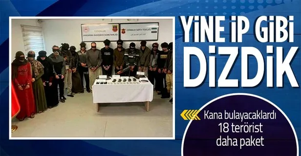 Son dakika! İçişleri Bakanlığı duyurdu: Suriye’de 13 DEAŞ’lı 5 PKK/YPG’li terörist yakalandı