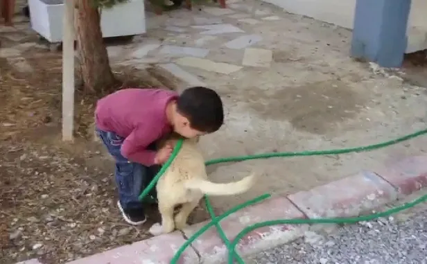 Sivas'ta köpeği ısıran küçük çocuk ilgi odağı oldu! Görenler gülme krizine girdi-4