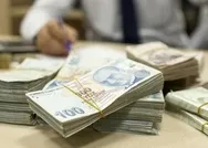 Şartsız, koşulsuz destek ödemesine başvuru işlemlerinizi gerçekleştirin! 9 bin 287 lira destek ödemesi yapılıyor!