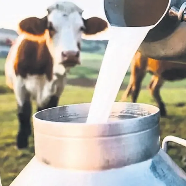 Süt endüstrisi bir araya gelecek