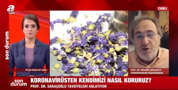 SON DAKİKA: Kovid-19'a karşı adaçayı-ebegümeci karışımı nasıl yapılır? İbrahim Saraçoğlu canlı yayında açıkladı-2