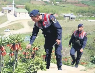 ’Van’ canına